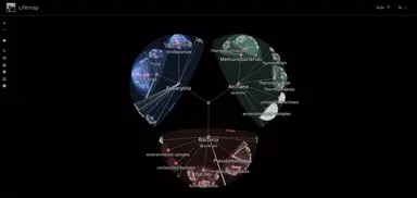 Lifemap